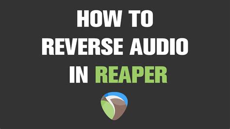 reaper reverse audio|reaper echo.